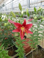 [4428 PO26 Sembre No01.JPG]